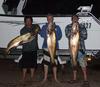 Geograph bay Mulloway